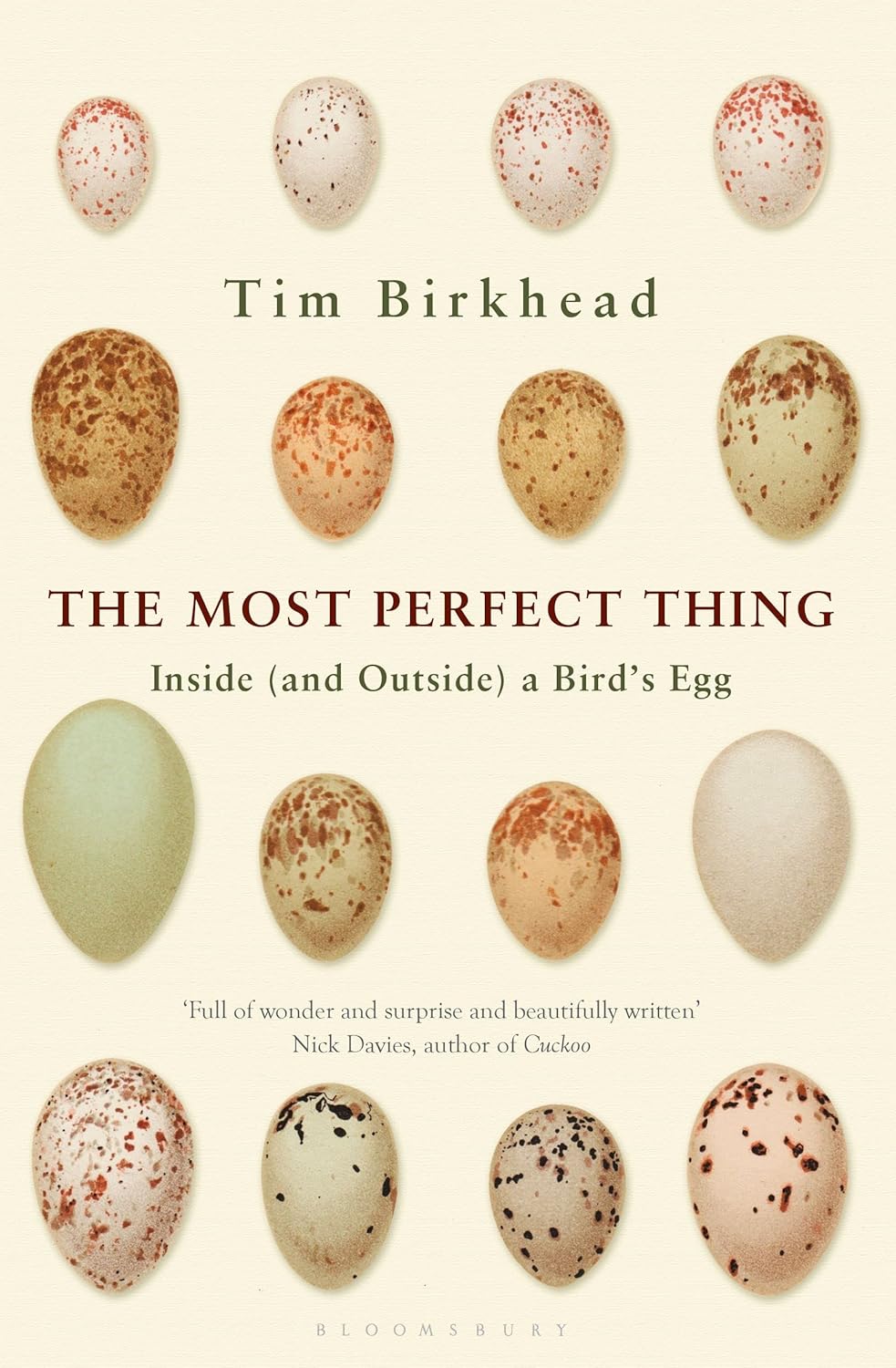 Book cover of The Most Perfect Thing