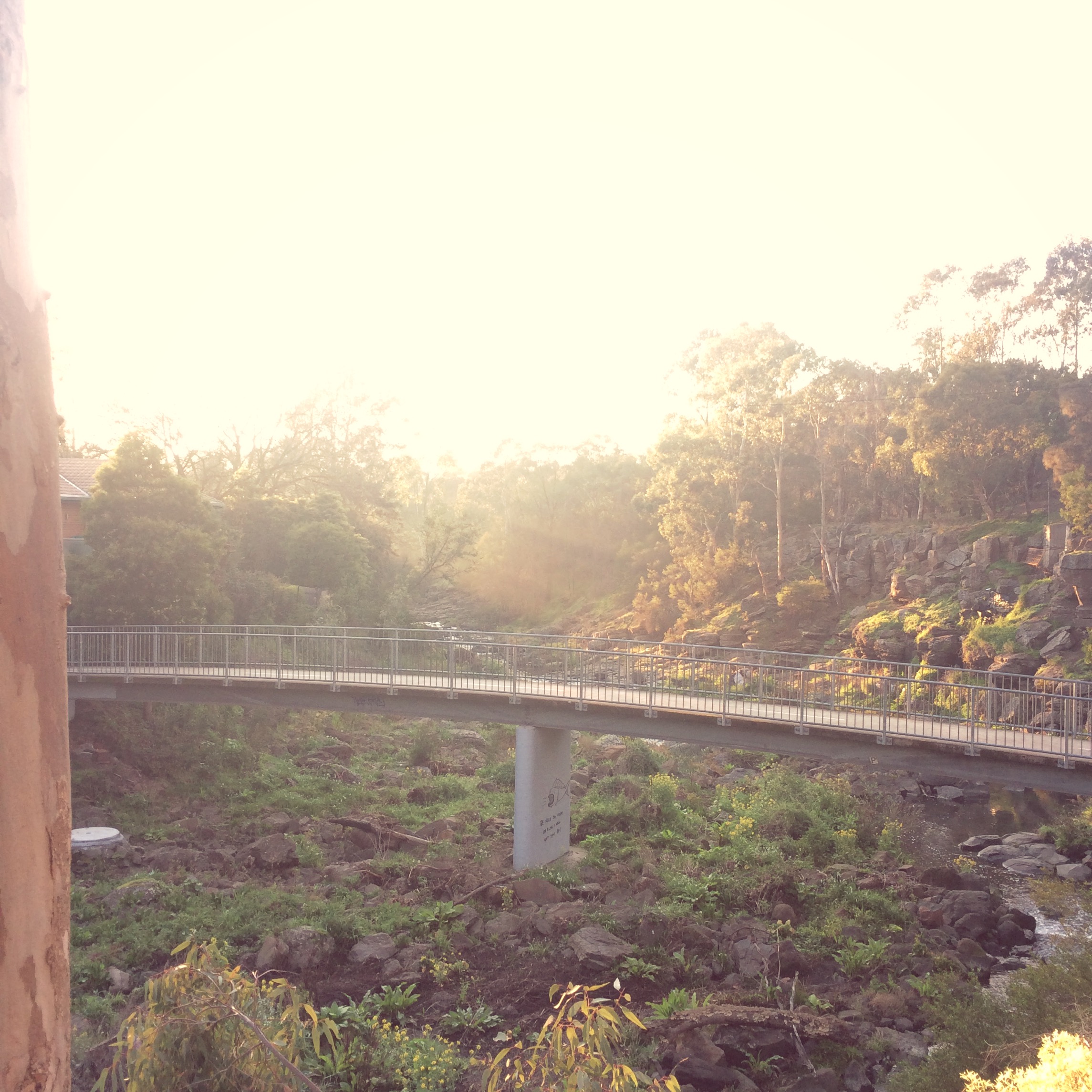 bridge